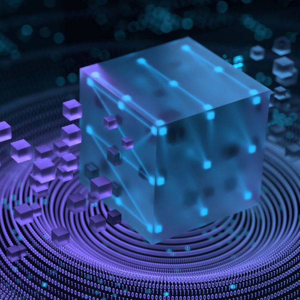 Blockchain, Transactions and NFTs